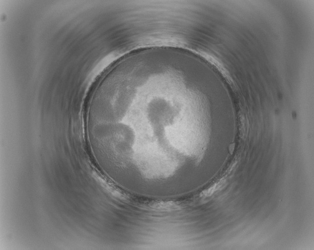 X0000070360982200606161247