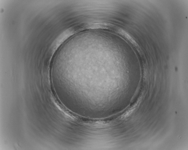 X0000070360986200606161247