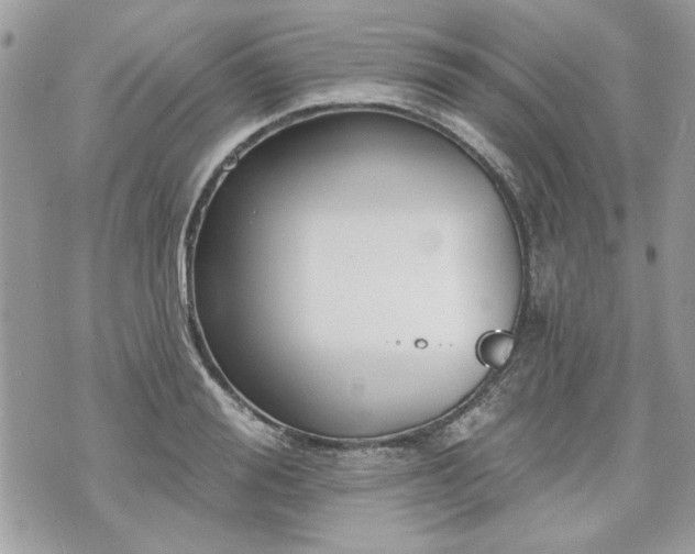 X0000070360988200606161247