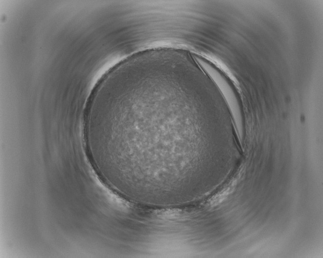 X0000070360991200606161247