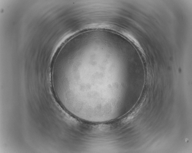 X0000070360992200606161247