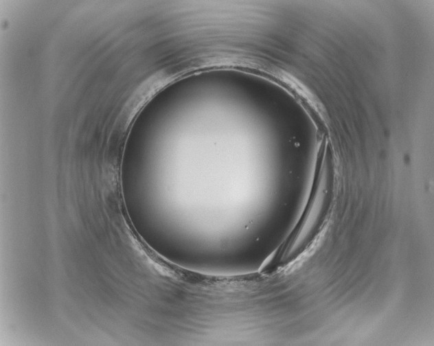 X0000070360993200606161247