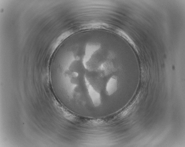 X0000070360994200606161247