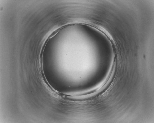 X0000070360996200606161247