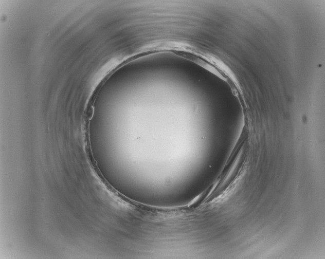 X0000070360997200606161247