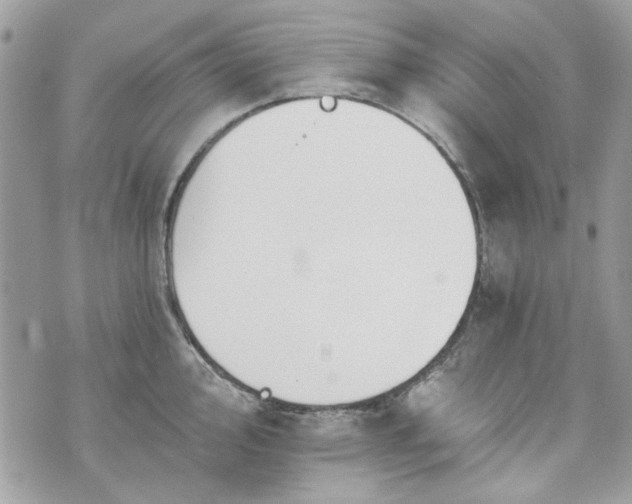 X0000070361000200606161247