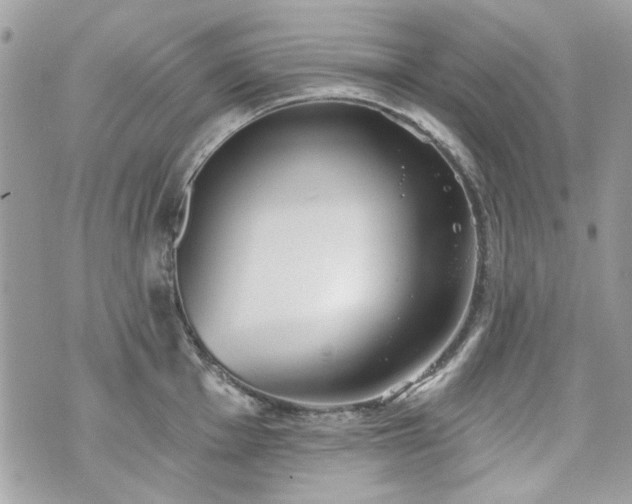 X0000070361001200606161247