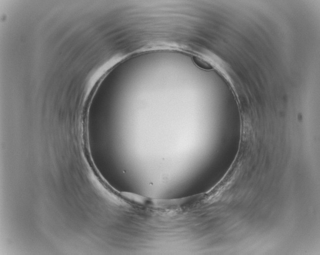 X0000070361003200606161247