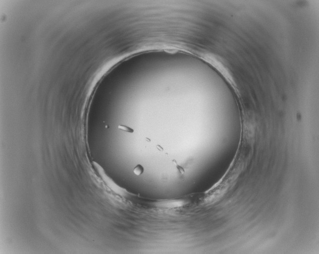 X0000070361004200606161247