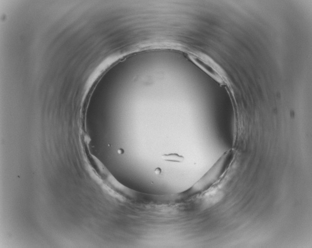 X0000070361005200606161247