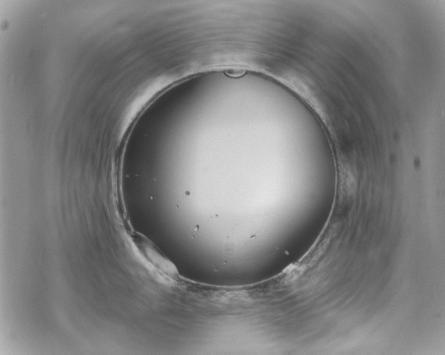 X0000070361006200606161247