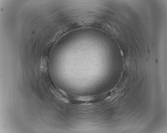 X0000070361012200606161246