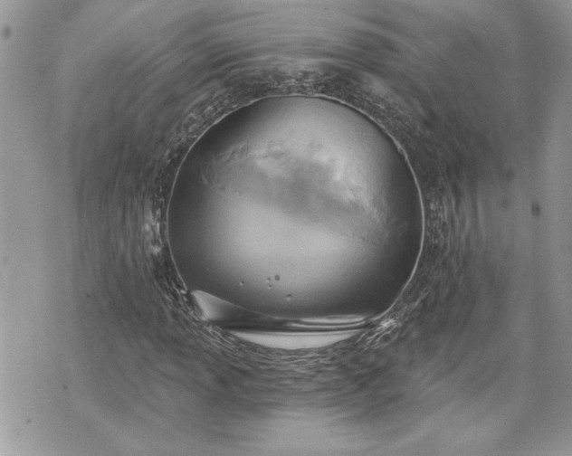 X0000070361013200606161246