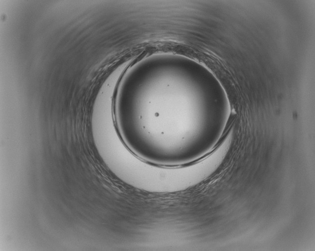 X0000070361014200606161246