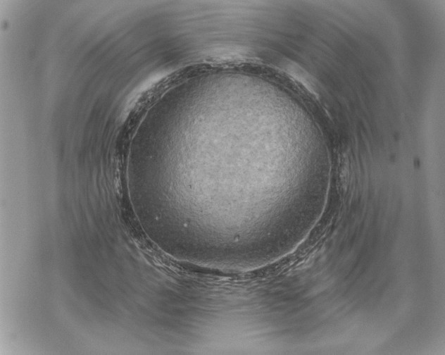 X0000070361016200606161246