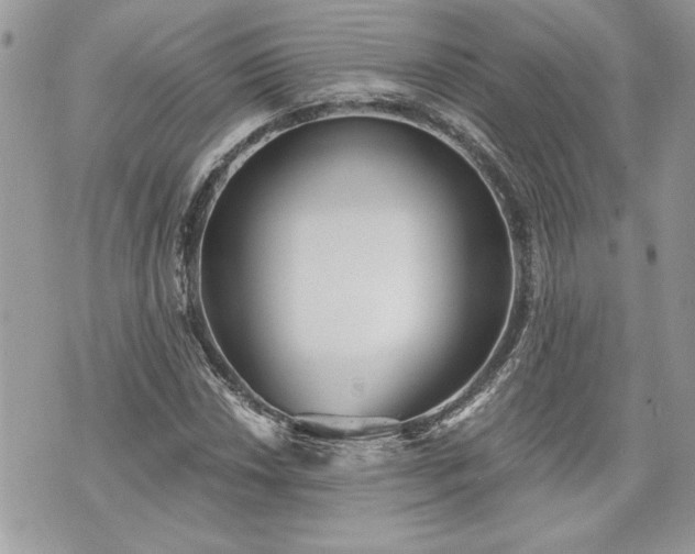 X0000070361018200606161246