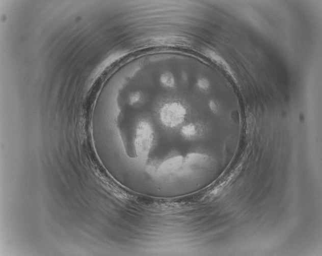 X0000070361019200606161246