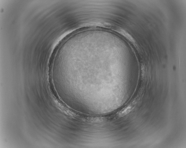 X0000070361020200606161246