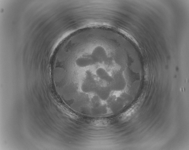 X0000070361021200606161246