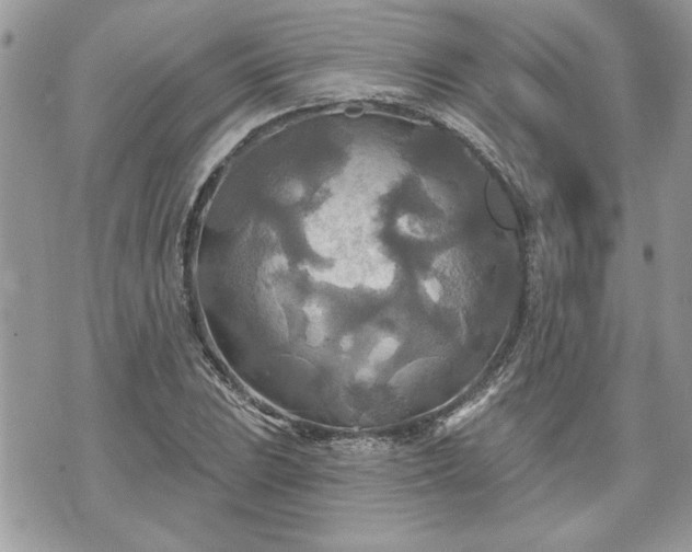 X0000070361023200606161246