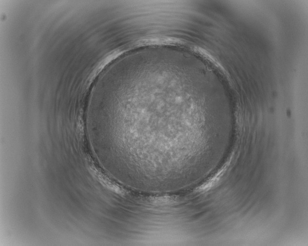 X0000070361025200606161246