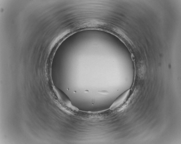 X0000070361026200606161246