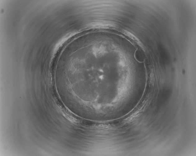 X0000070361027200606161246