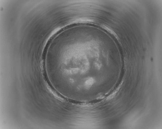 X0000070361029200606161246