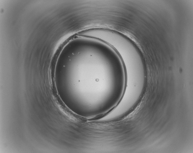 X0000070361030200606161246