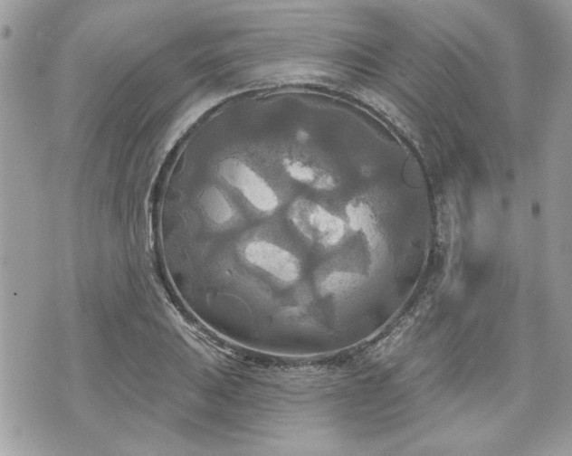 X0000070361031200606161246