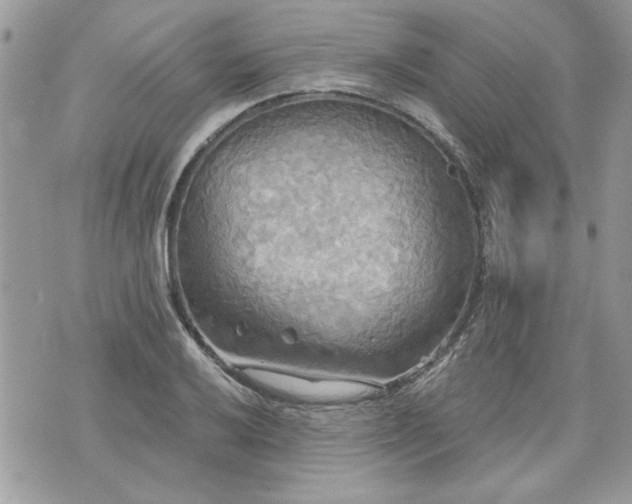 X0000070361032200606161246