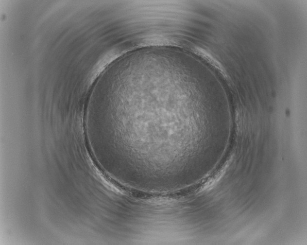 X0000070361033200606161246