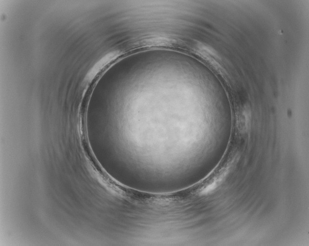 X0000070361034200606161246