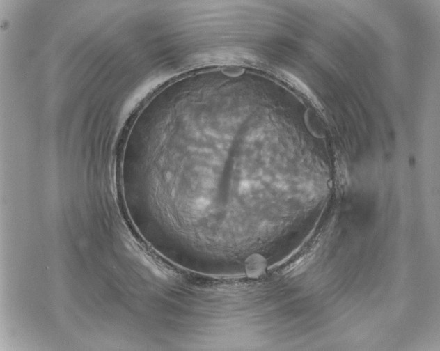 X0000070361035200606161246