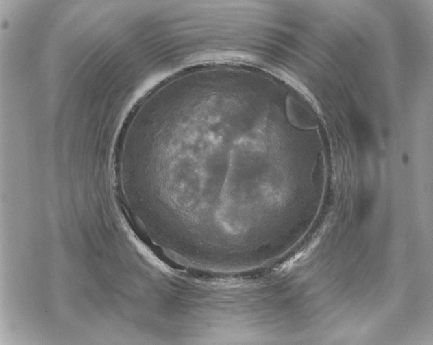 X0000070361037200606161246