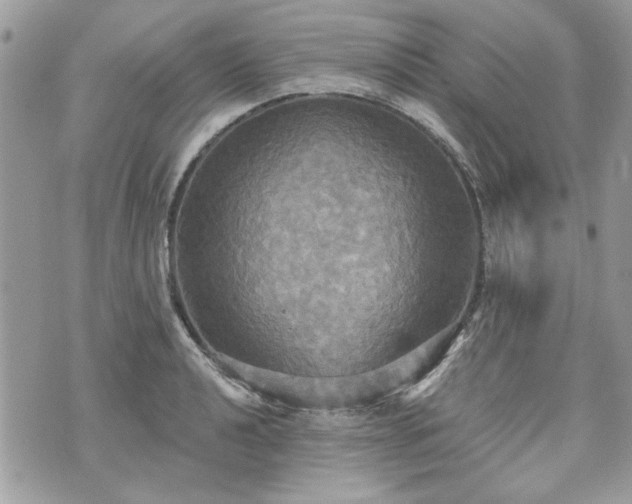 X0000070361040200606161246