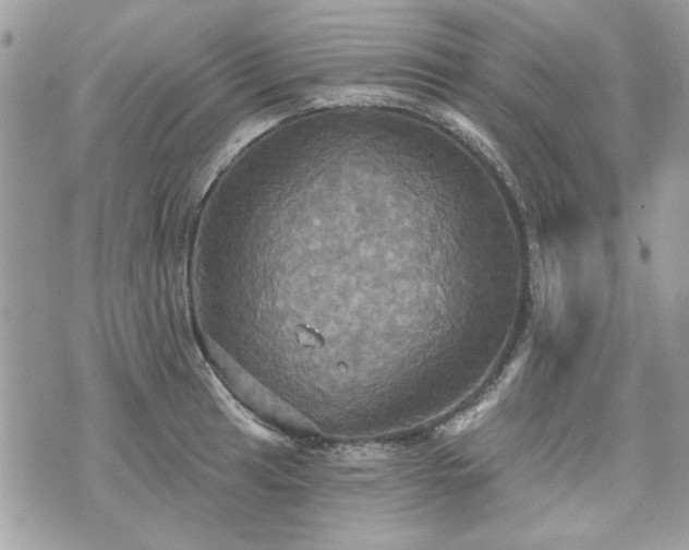 X0000070361041200606161246