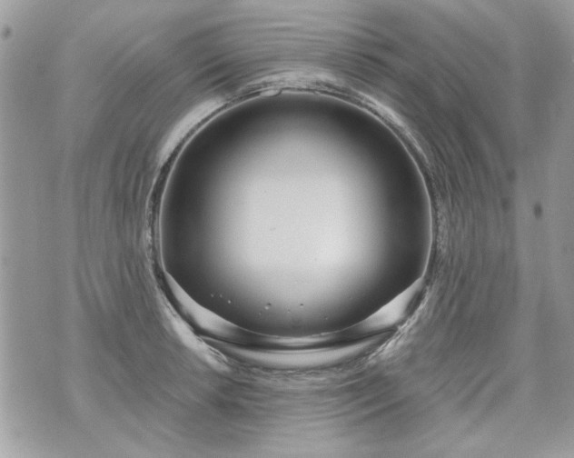 X0000070361042200606161246