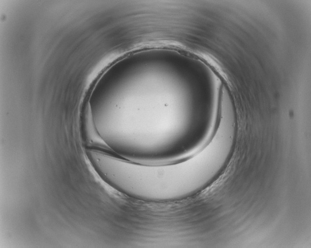 X0000070361046200606161247