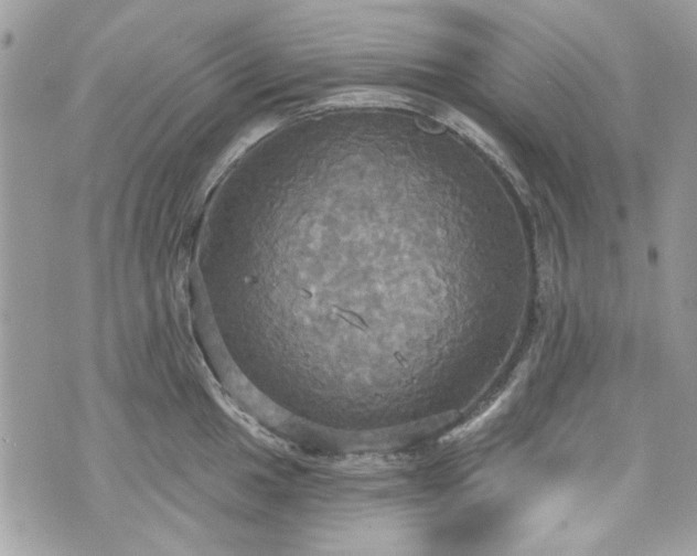 X0000070361049200606161247