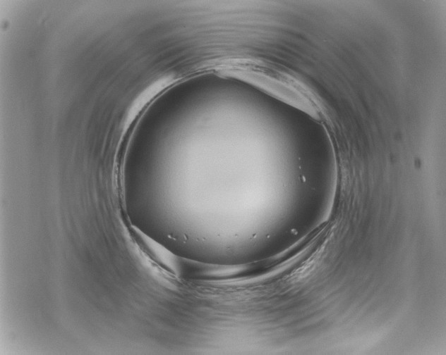 X0000070361050200606161247