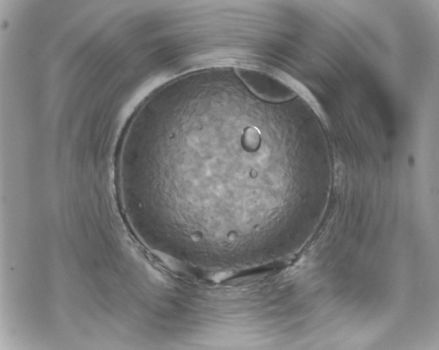 X0000070361051200606161247