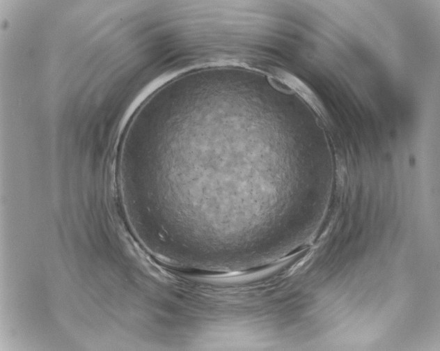 X0000070361052200606161247