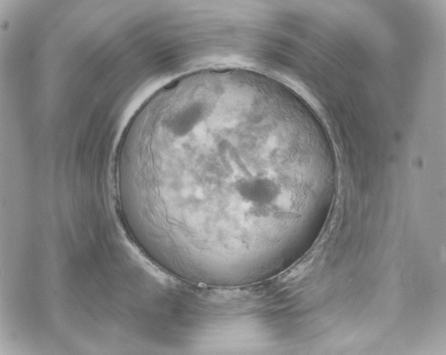 X0000070361056200606161247