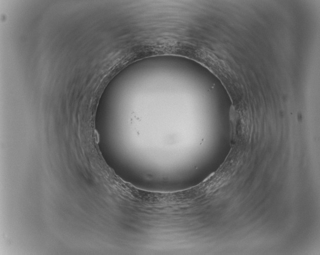 X0000070361057200606161246