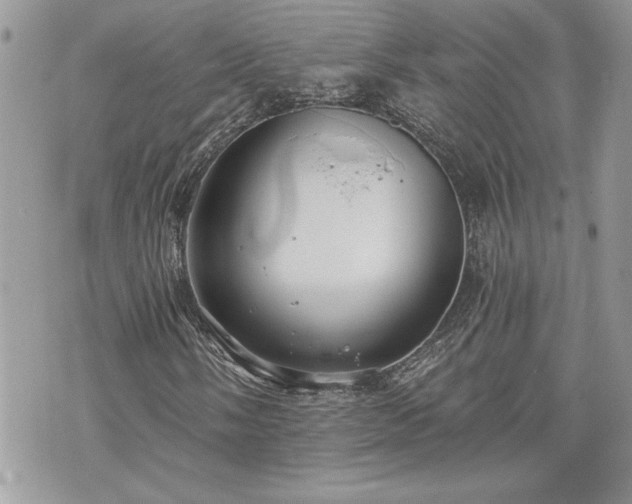 X0000070361058200606161246