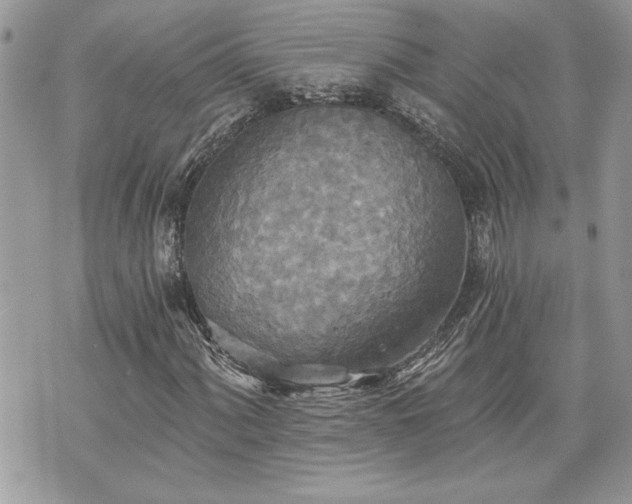 X0000070361060200606161246