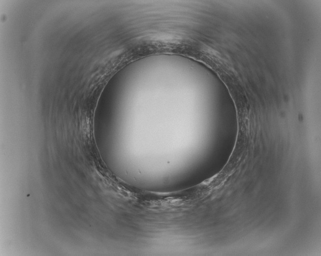 X0000070361061200606161246