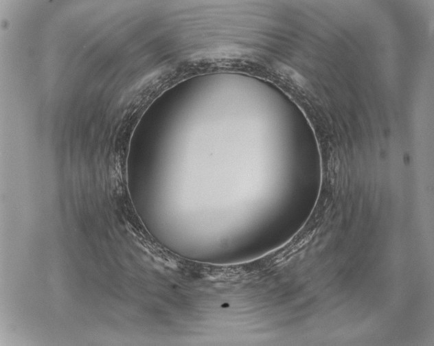 X0000070361062200606161246