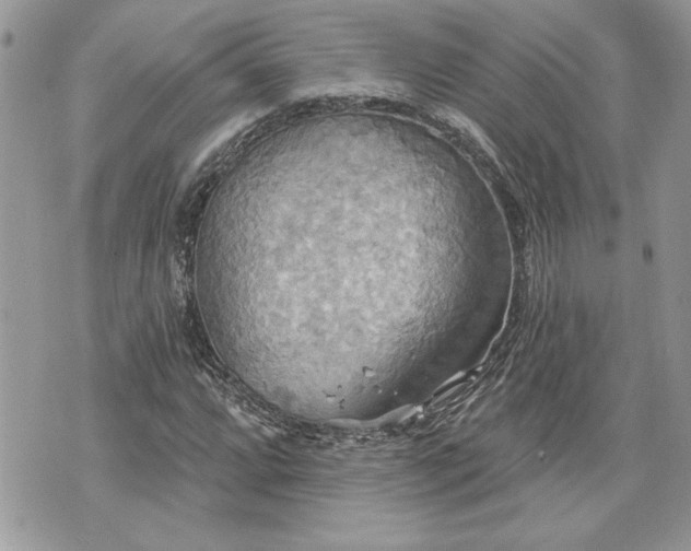 X0000070361064200606161246